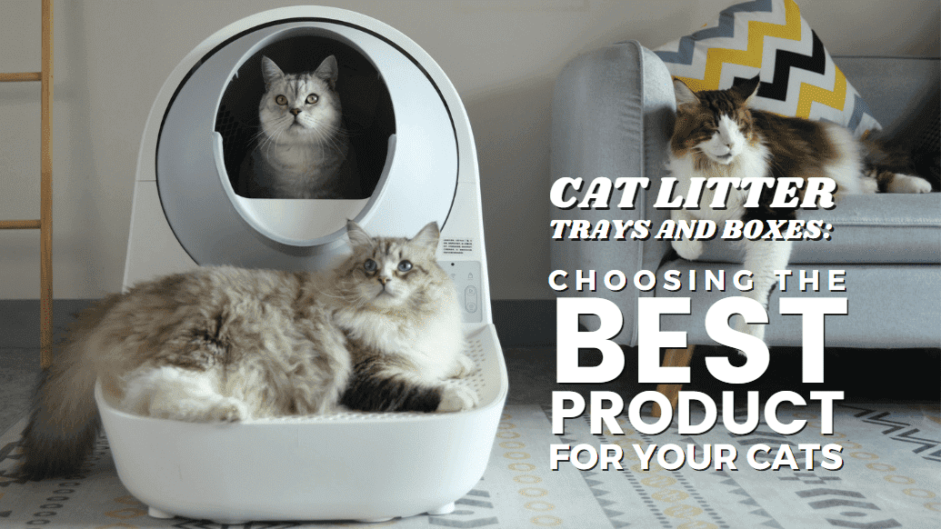 Choosing the Best Litter Boxes and Trays | Blog | Petso Au