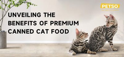 Unveiling the Benefits of Premium Canned Cat Food