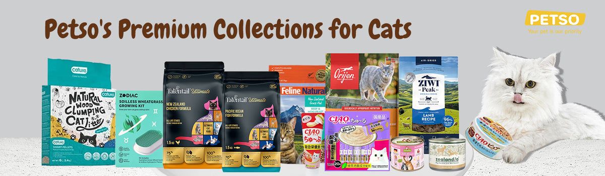 For Cats