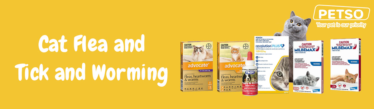 Cat Flea and Tick and Worming