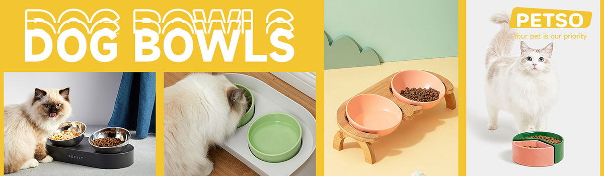 Dog Bowls