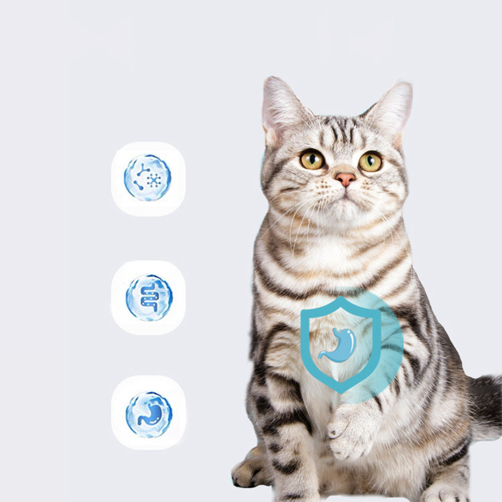 KOJIMA Cat Oral Care Kit