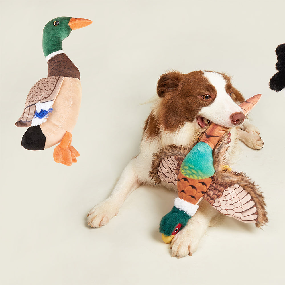FOFOS Wild Duck Plush Squeaky Dog Toy