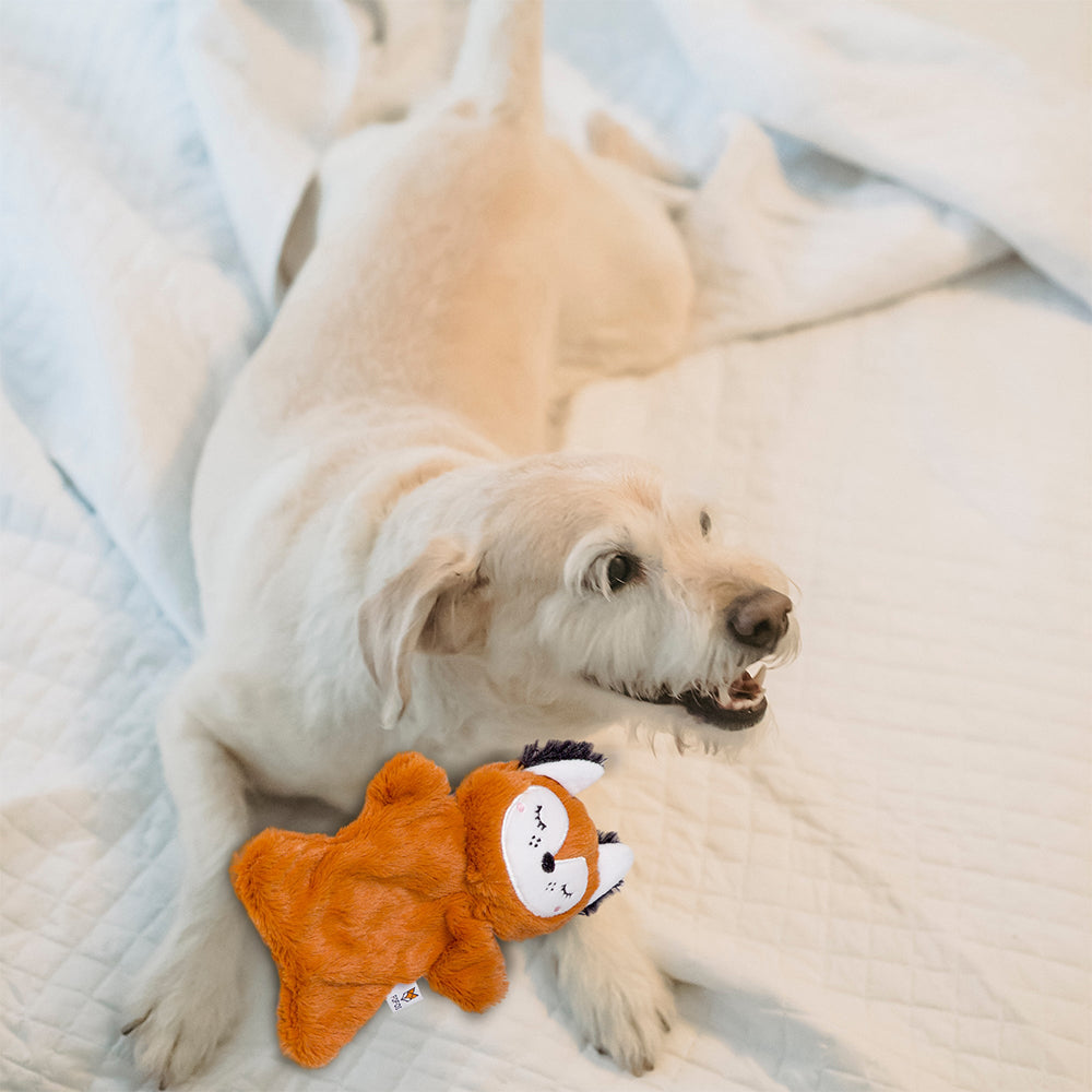 FOFOS Glove Bear Plush Crinkle Dog Toy