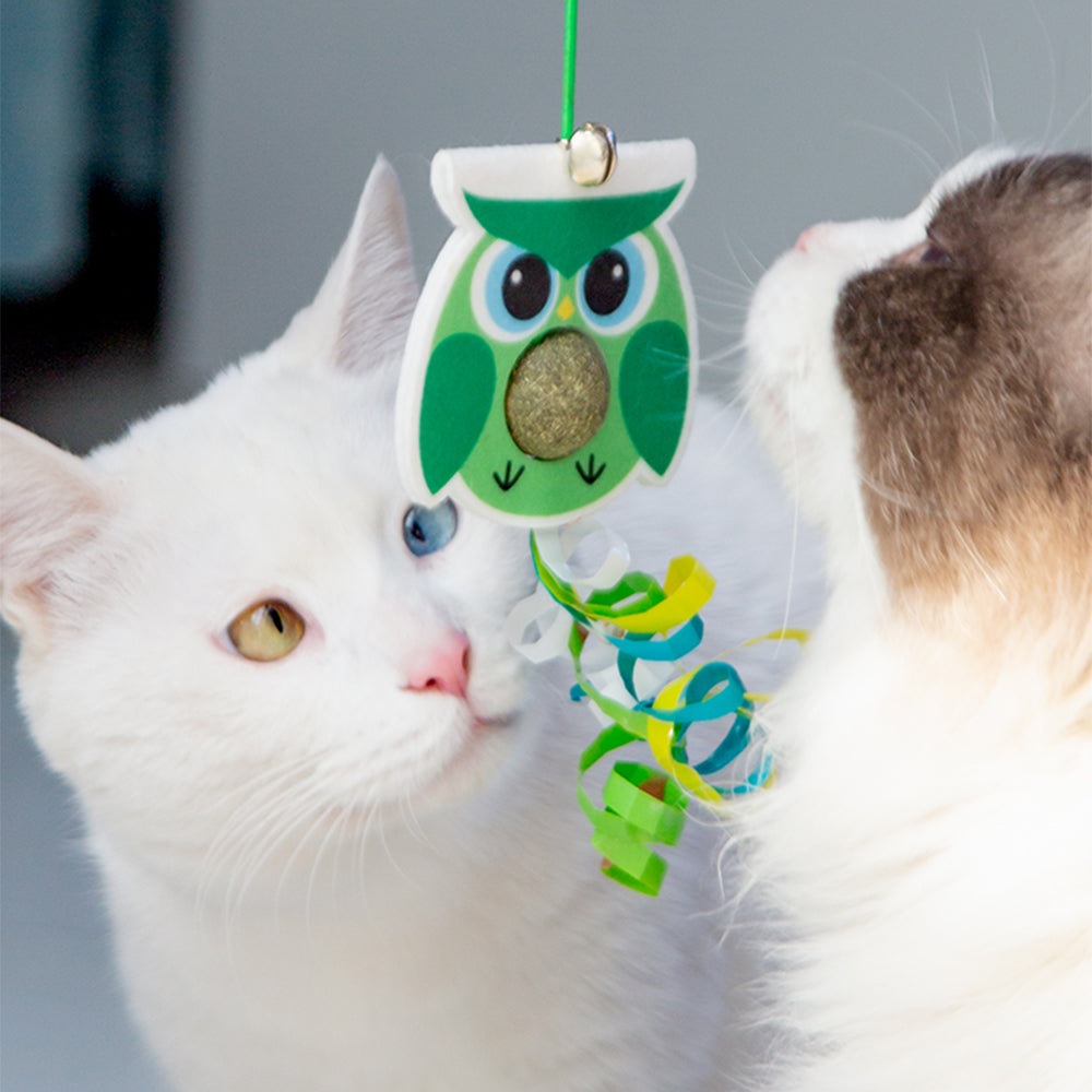 Little Green Bird Hanging Door With Elastic Swing & Catnip Ball Cat Toy