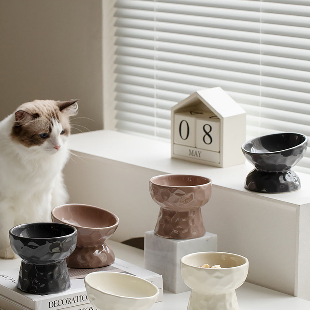 One-Piece Ceramic Pet Slanted High Bowl - 200ml