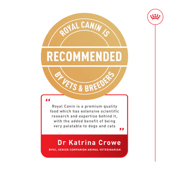 ROYAL CANIN Medium Ageing 10+ Dry Dog Food 15kg