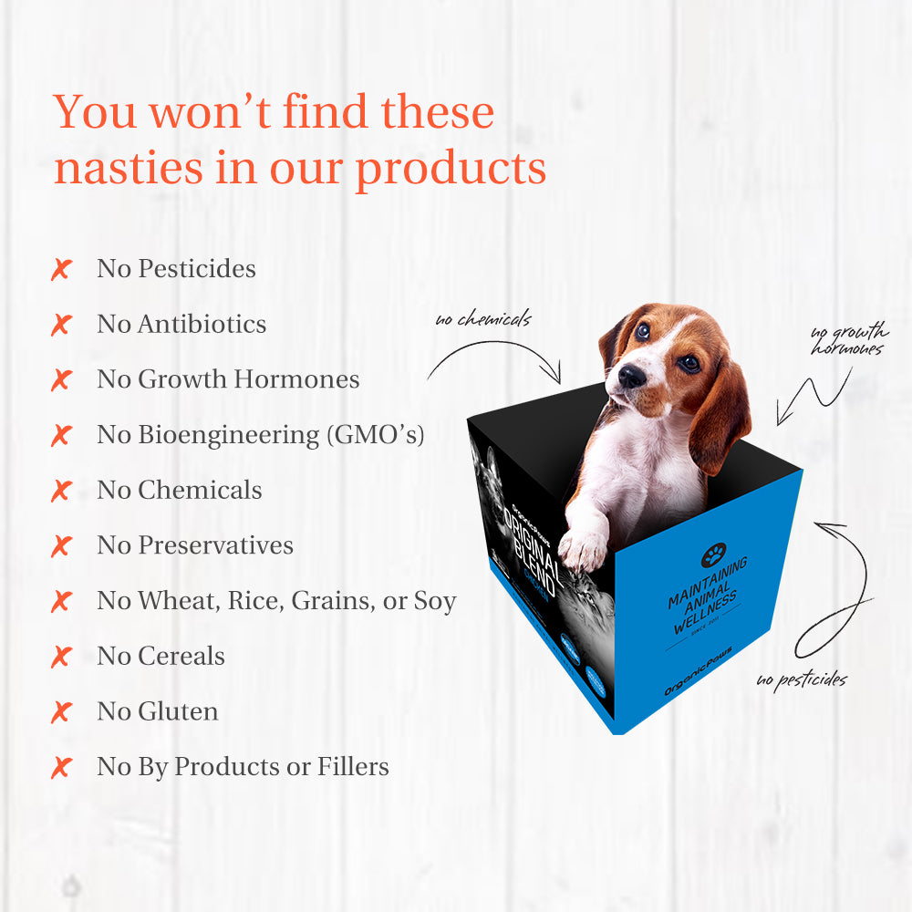 ORGANIC PAWS Mini Meals Chicken & Roo Raw Pet Food 500g