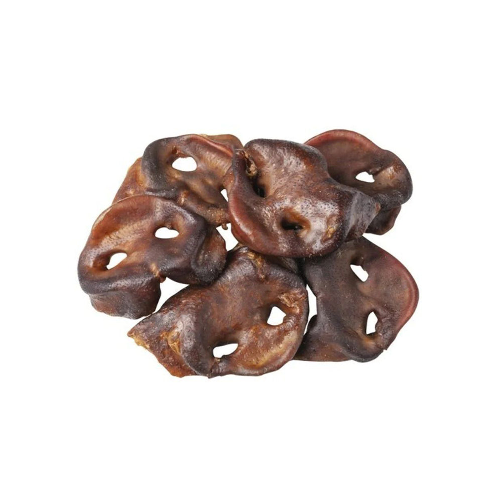 BLACKDOG Pig Snouts Dog Treats 50pcs/pk