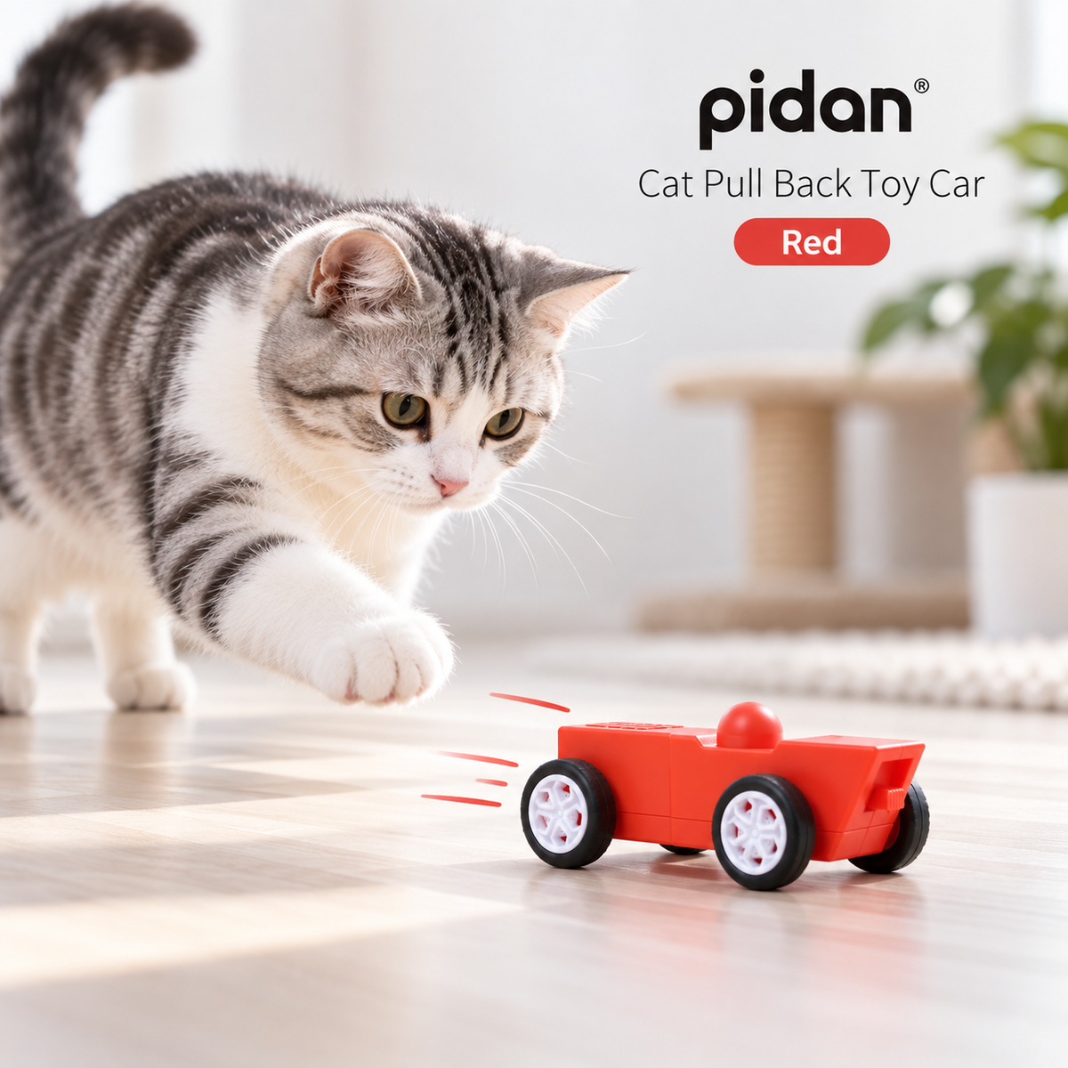 PIDAN Cat Pull Back Toy Car Red