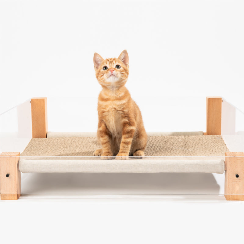 PIDAN Sound Sleep Pet Bed