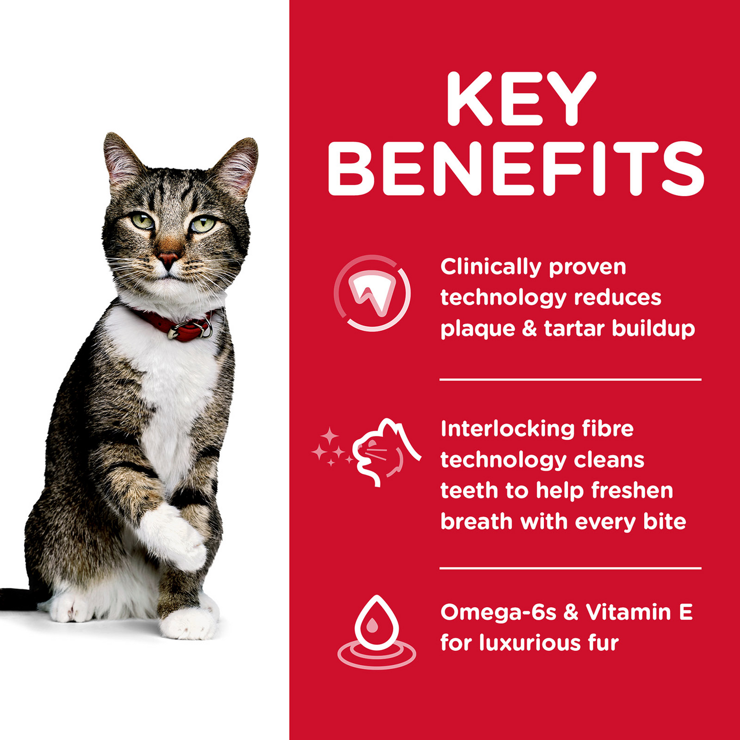 HILLS Science Diet Oral Care Chicken Adult Dry Cat Food
