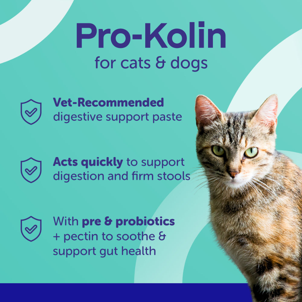 PROTEXIN Pro Kolin+ Probiotic Paste Short Term Gastrointestinal Support For Dogs & Cats