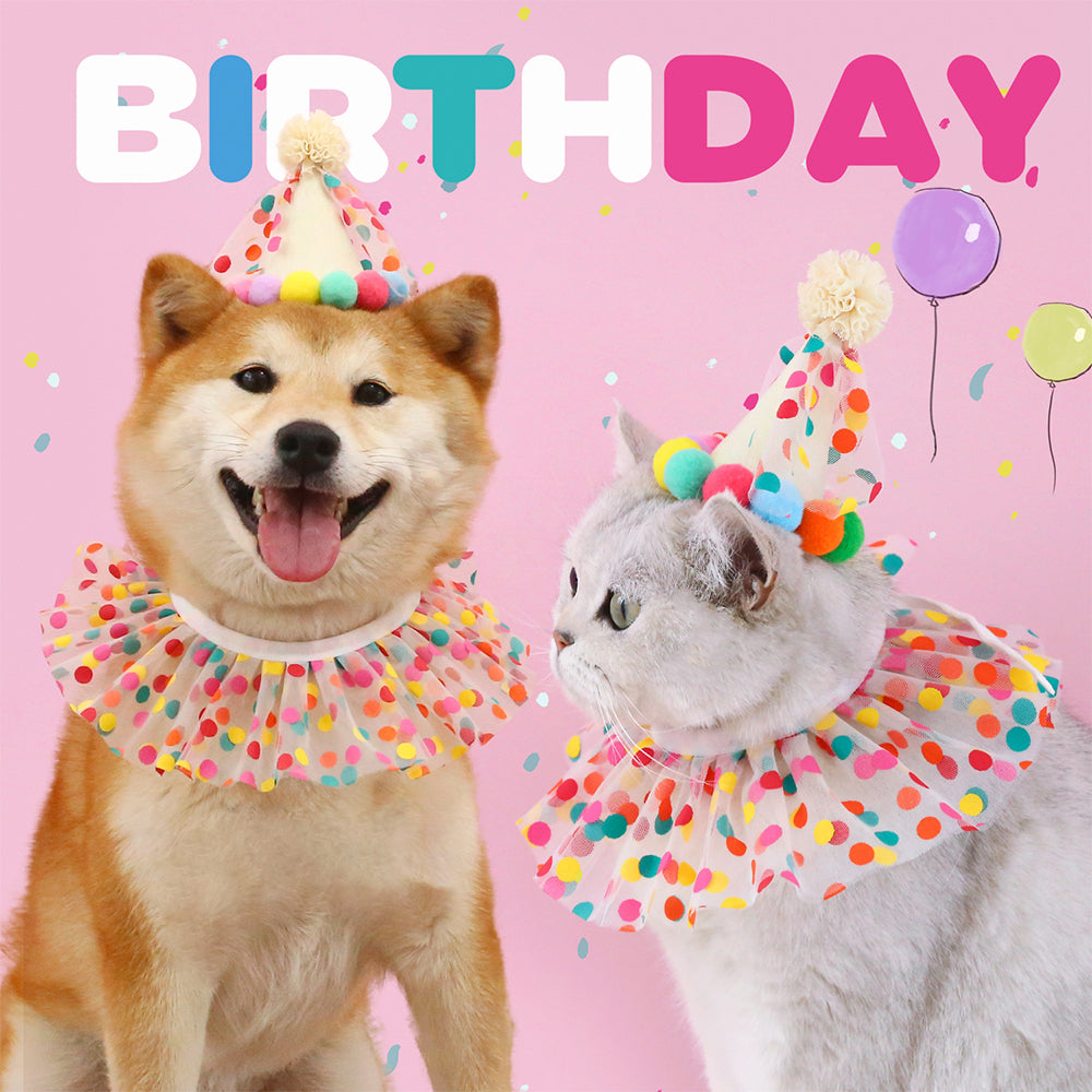Colorful Polka Dot Pet Birthday Hat