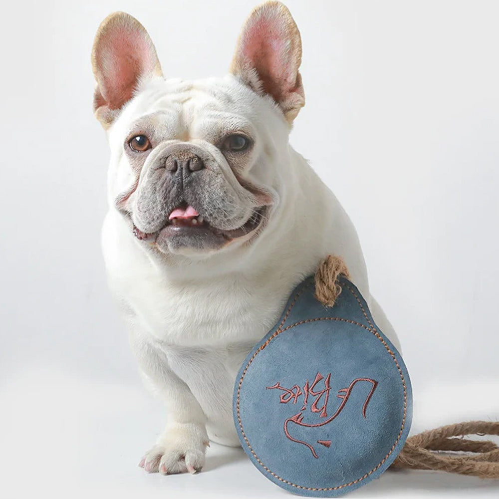 Durable Leather Dog Training Frisbee Interactive Toy