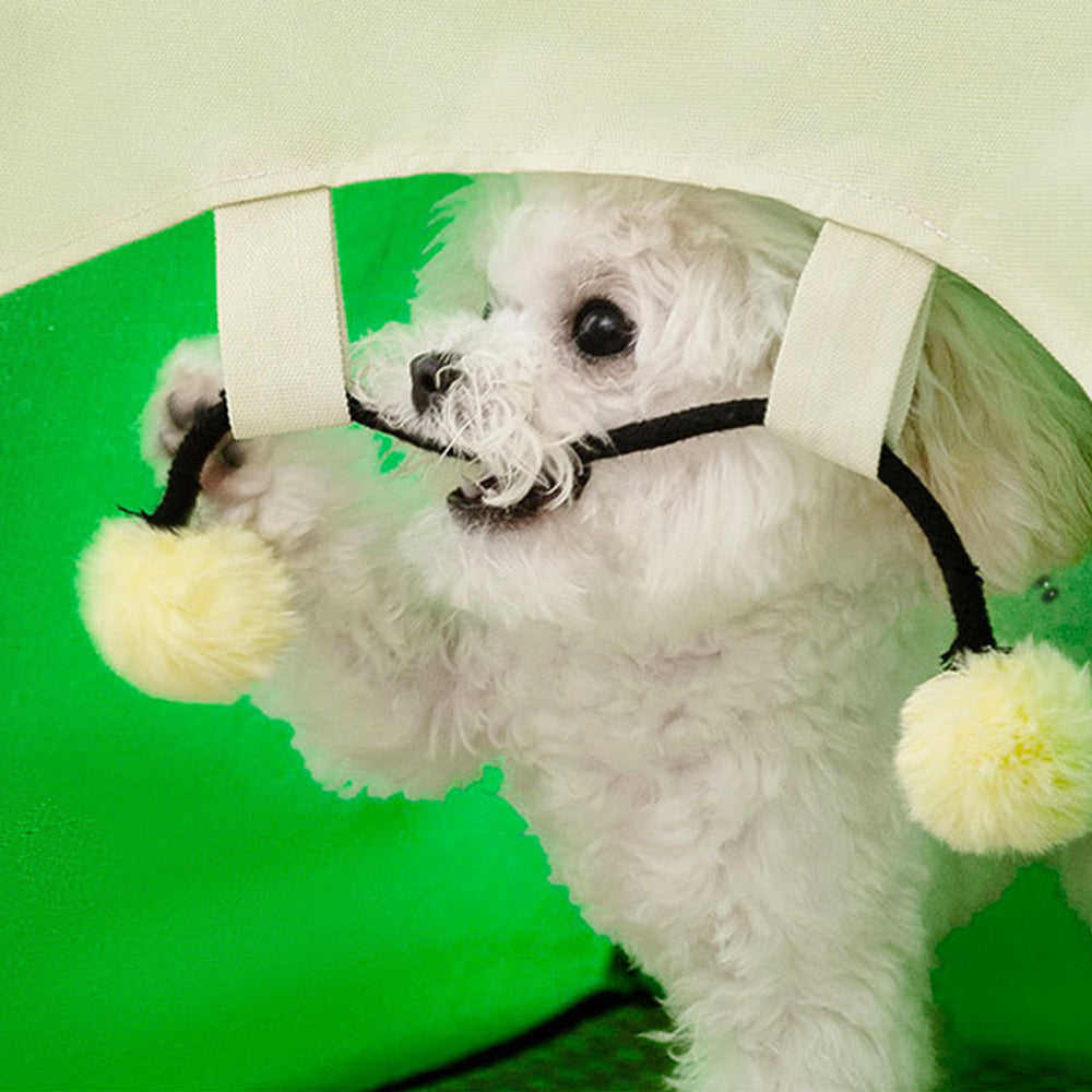 Cooling Summer Pet Tent Bed