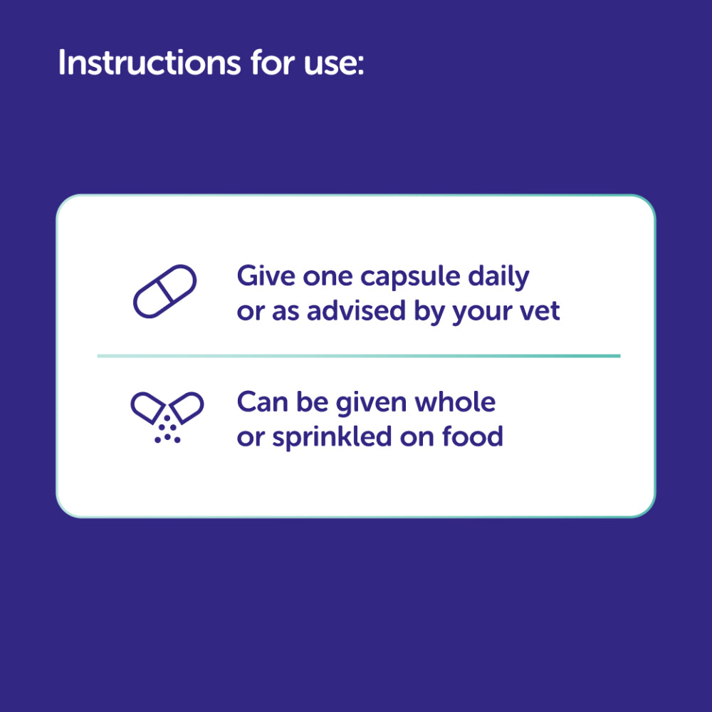 PROTEXIN Synbiotic DC Probiotic & Prebiotic For Cats & Dogs 50'S