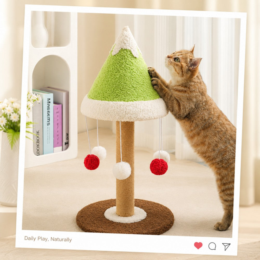 Cedar Cat Scratching Post Interactive Toy