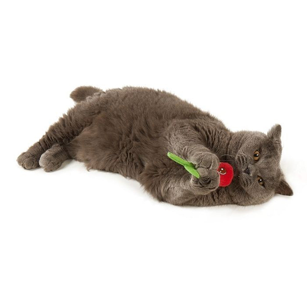 FOFOS Flower Bud Cat Toy 1pc - Random Color