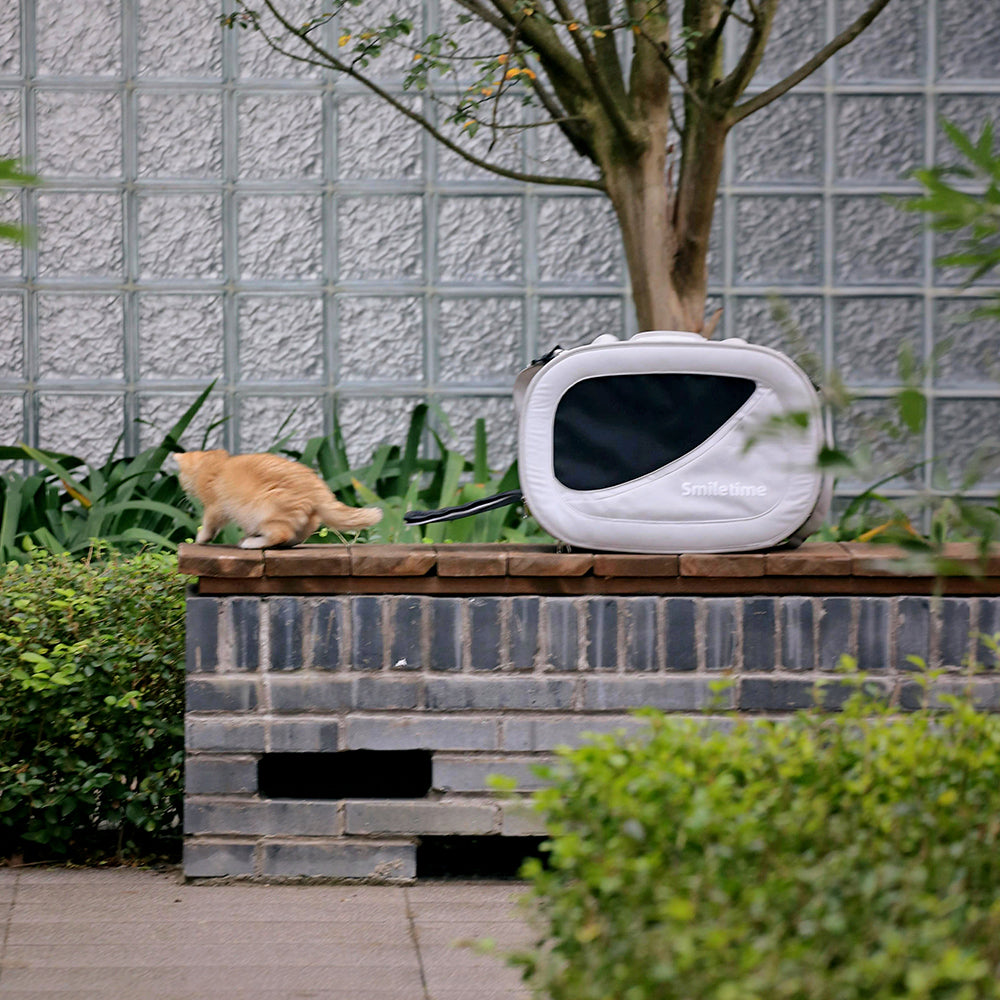 SMILE TIME Modern Grey Pet Carrier 48x27x34cm