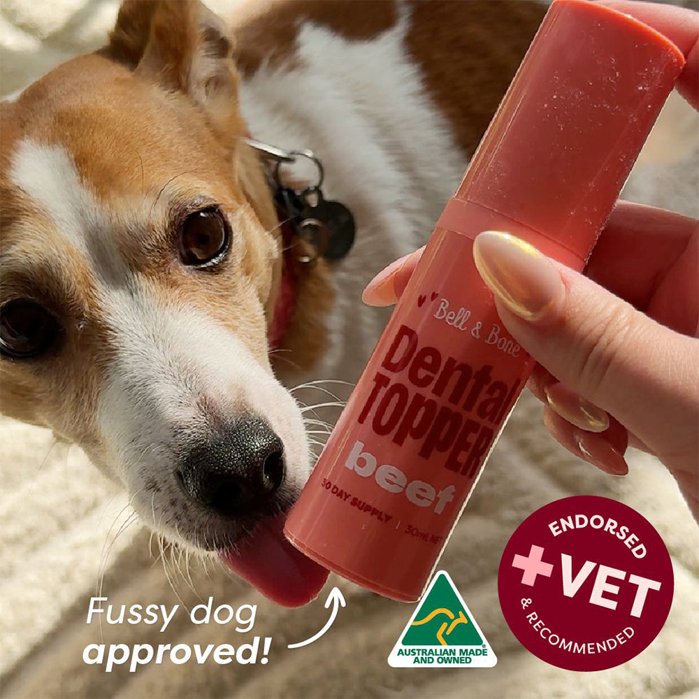 BELL & BONE Beef Dog Dental Topper 30ml