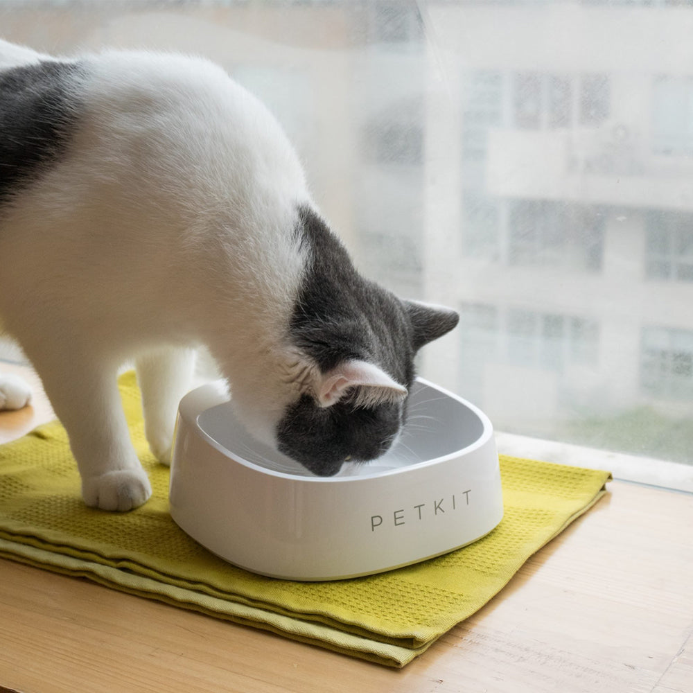 PETKIT White Fresh Smart Pet Bowl