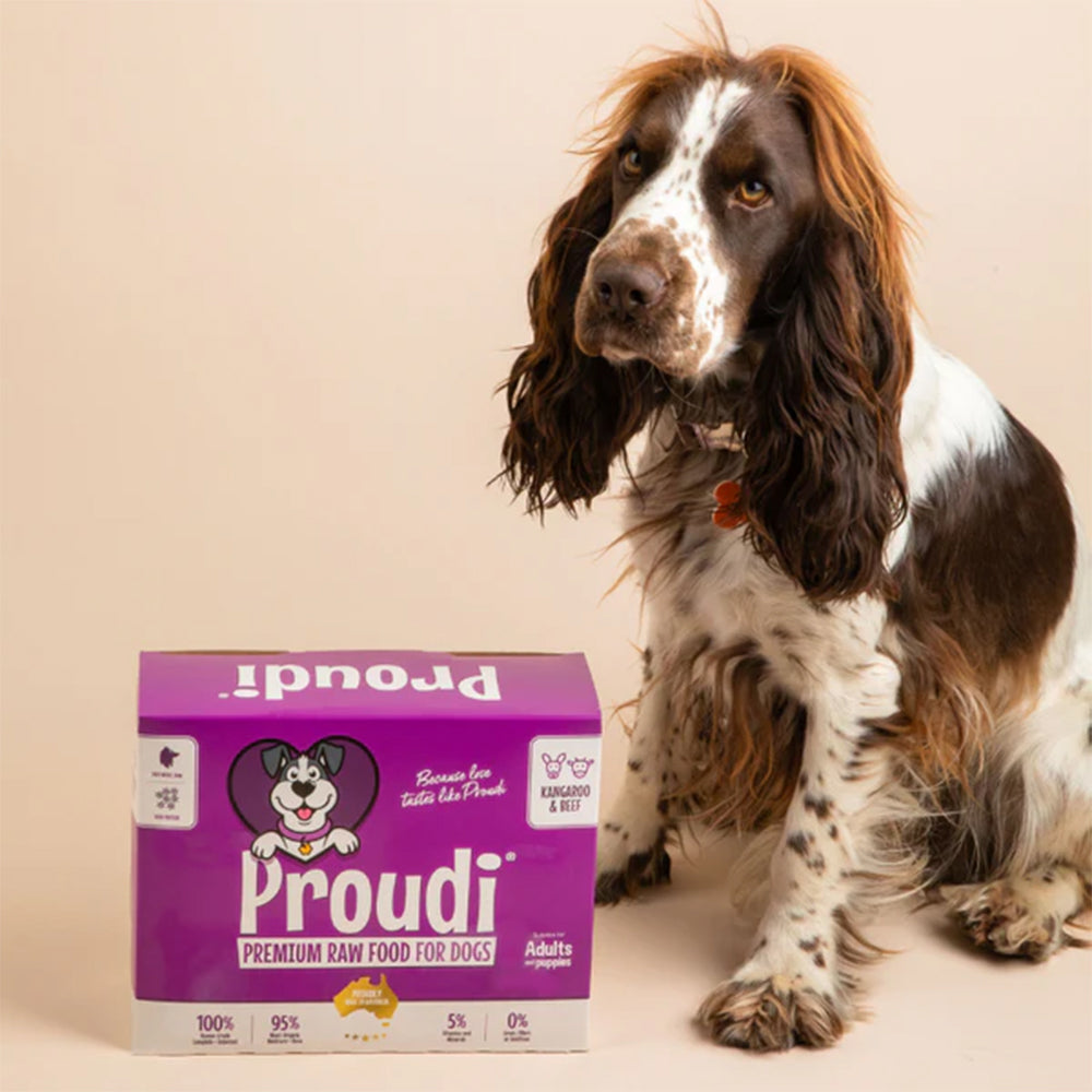 PROUDI Premium Frozen Kangaroo & Beef Raw Dog Food 2.4Kg