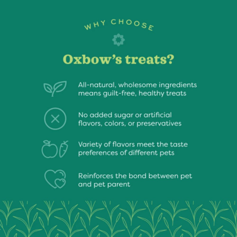 OXBOW Simple Rewards Cranberry Small Pet Treat 85g