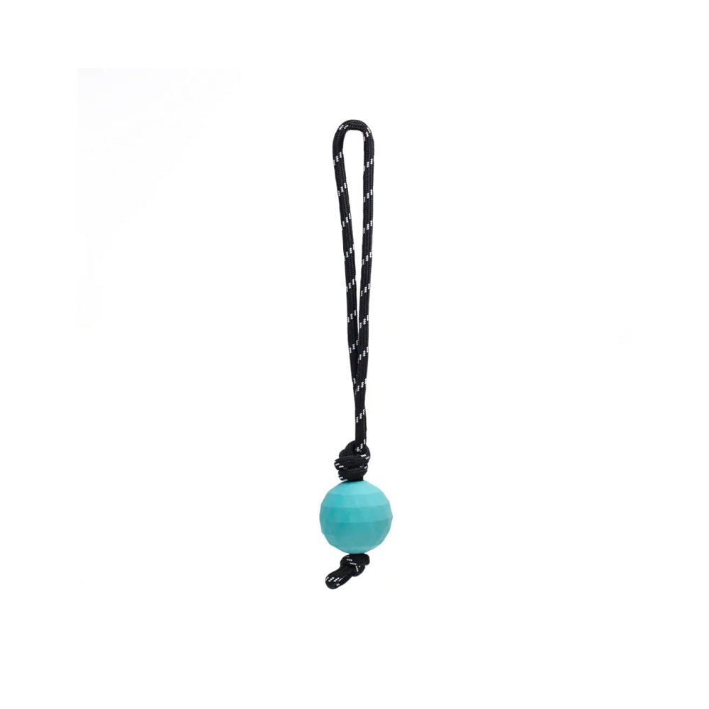 ZIPPY PAWS ZippyTuff Waggle RopeTugz Babble Ball Dog Toy