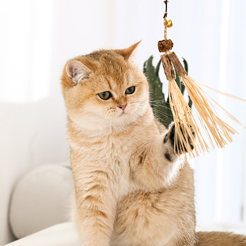 Wooden Catnip Stick Cat Teaser