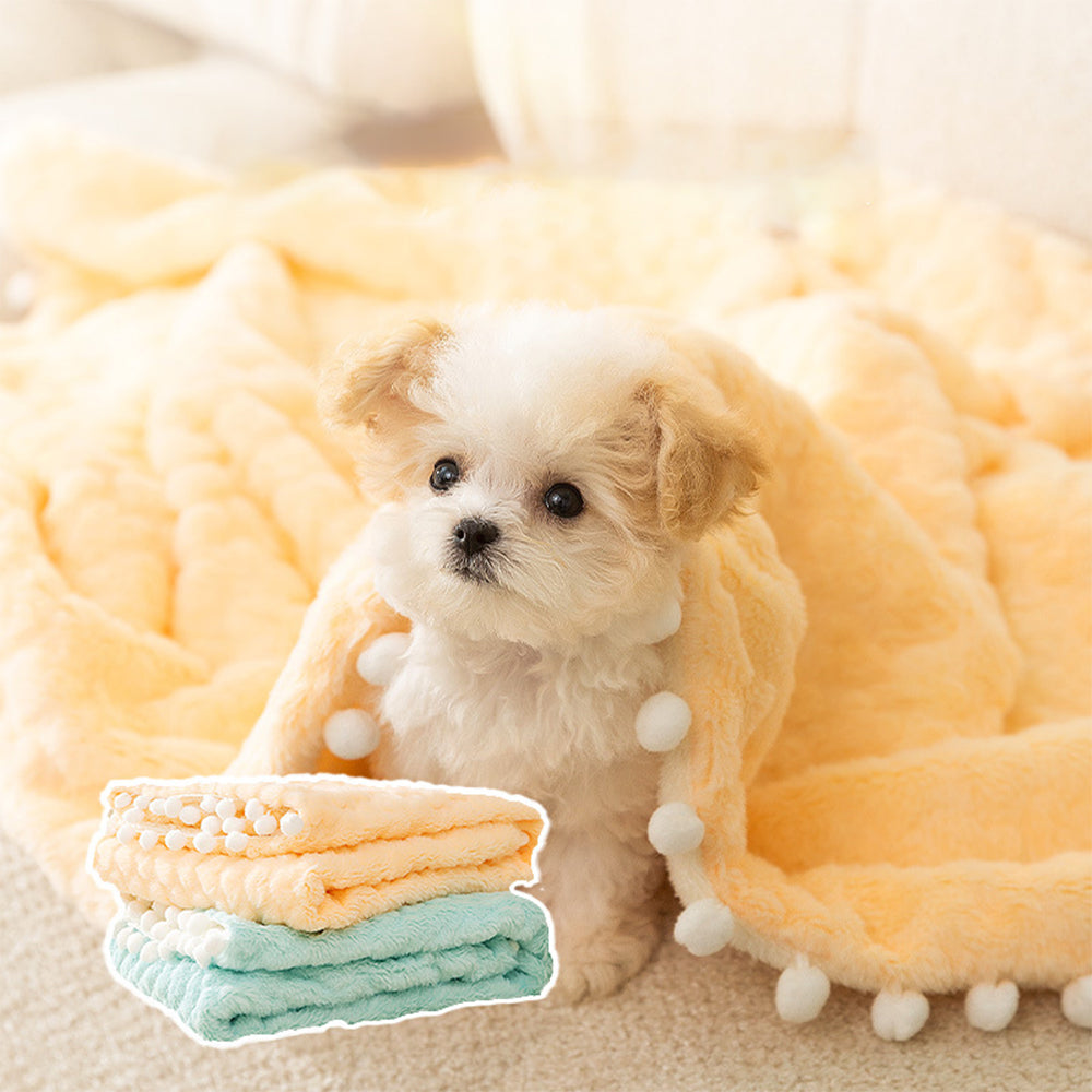Pet Thermal Flannel Blanket