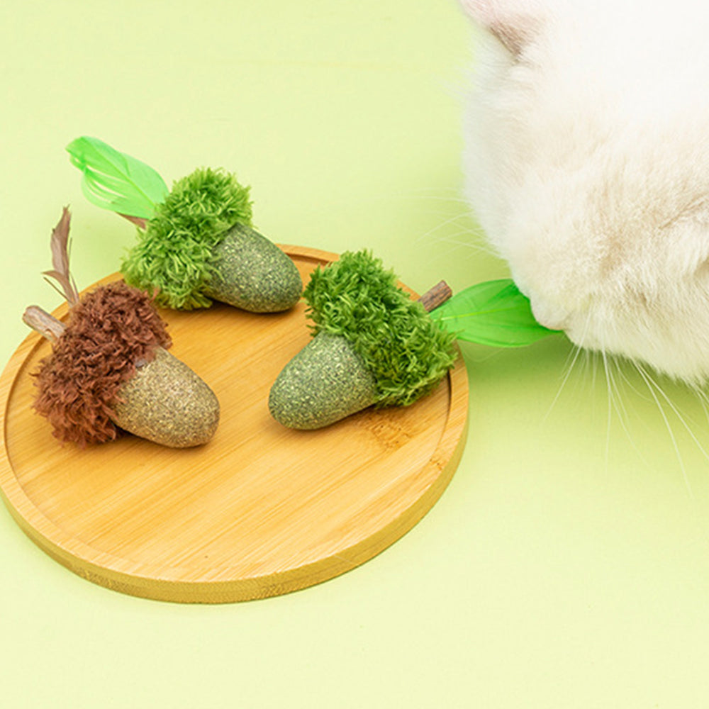 Acorn Catnip Cat Molar Stick Toy