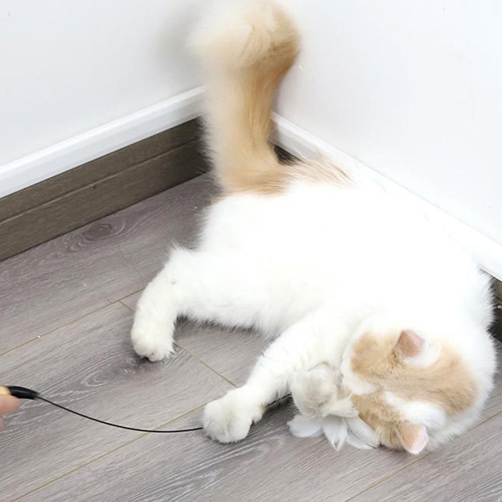 Feathered Wooden Pole Spring Stick Cat Teaser