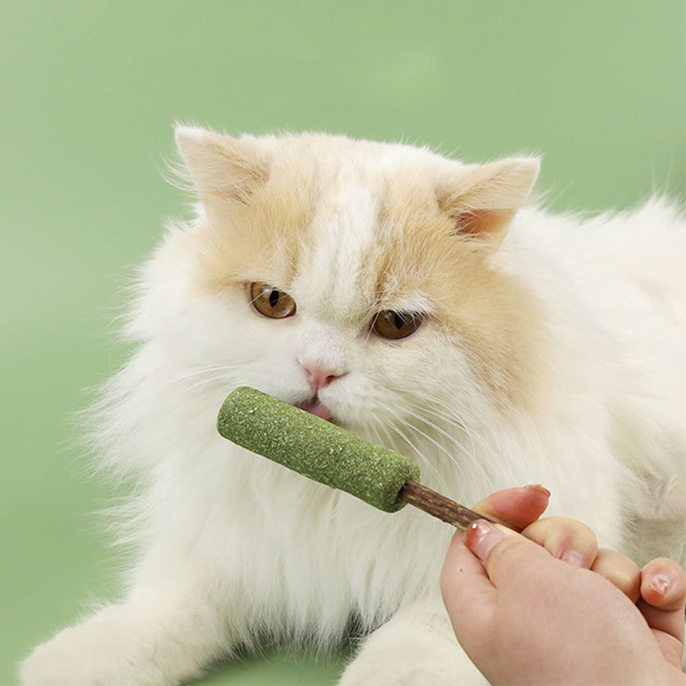 Popsicle Catnip Cat Molar Stick