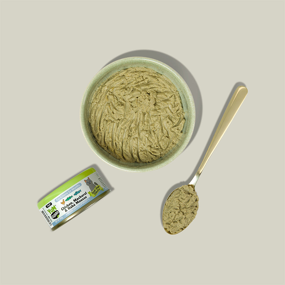 YUMGUARD Brain Development Chicken, Mackerel & Hake Mousse Kitten Wet Cat Food
