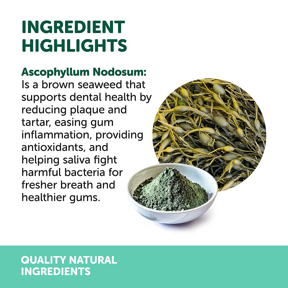 NAS NATURAL ANIMAL SOLUTIONS Dental Powder For Dogs & Cats