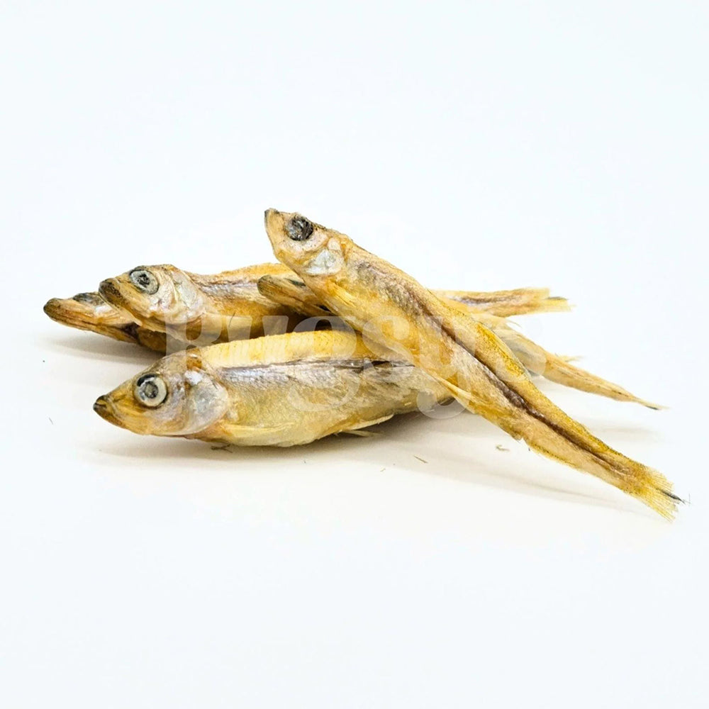 BUGSY'S Freeze Dried Australian Whitebait Pet Treats 70g