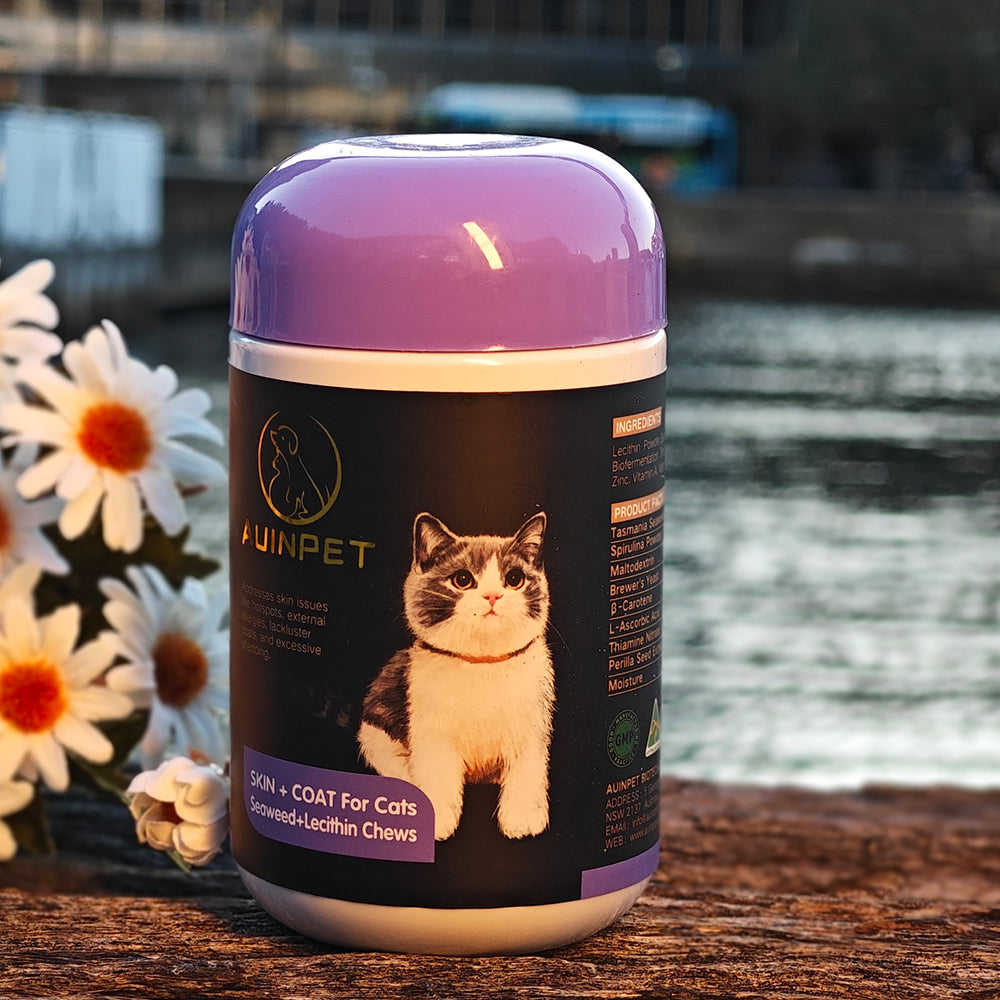 AUINPET Skin + Coat Seaweed & Lecithin For Cats 120g