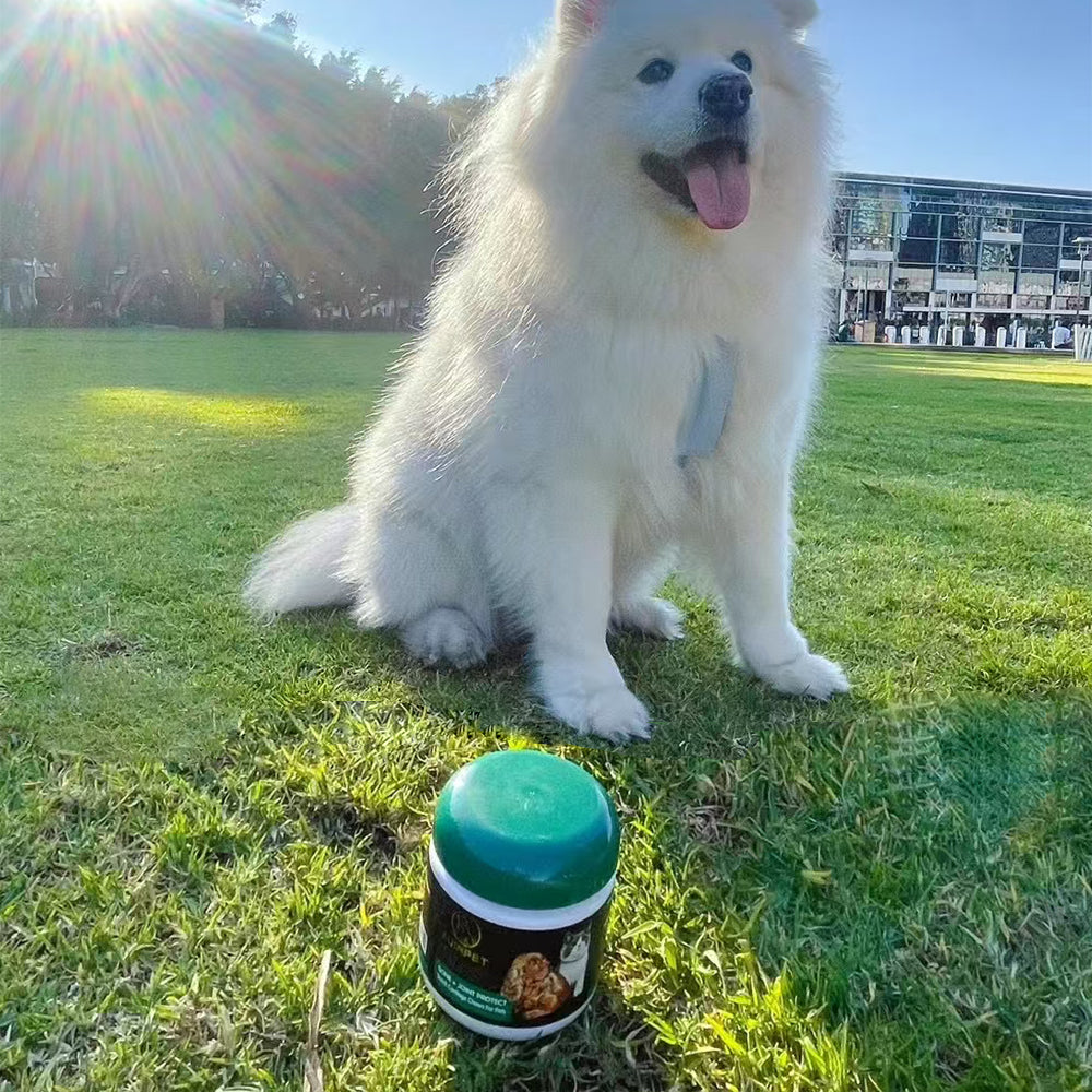 AUINPET Bone + Joint Protect Shark Cartilage Chews For Dogs & Cats 180g