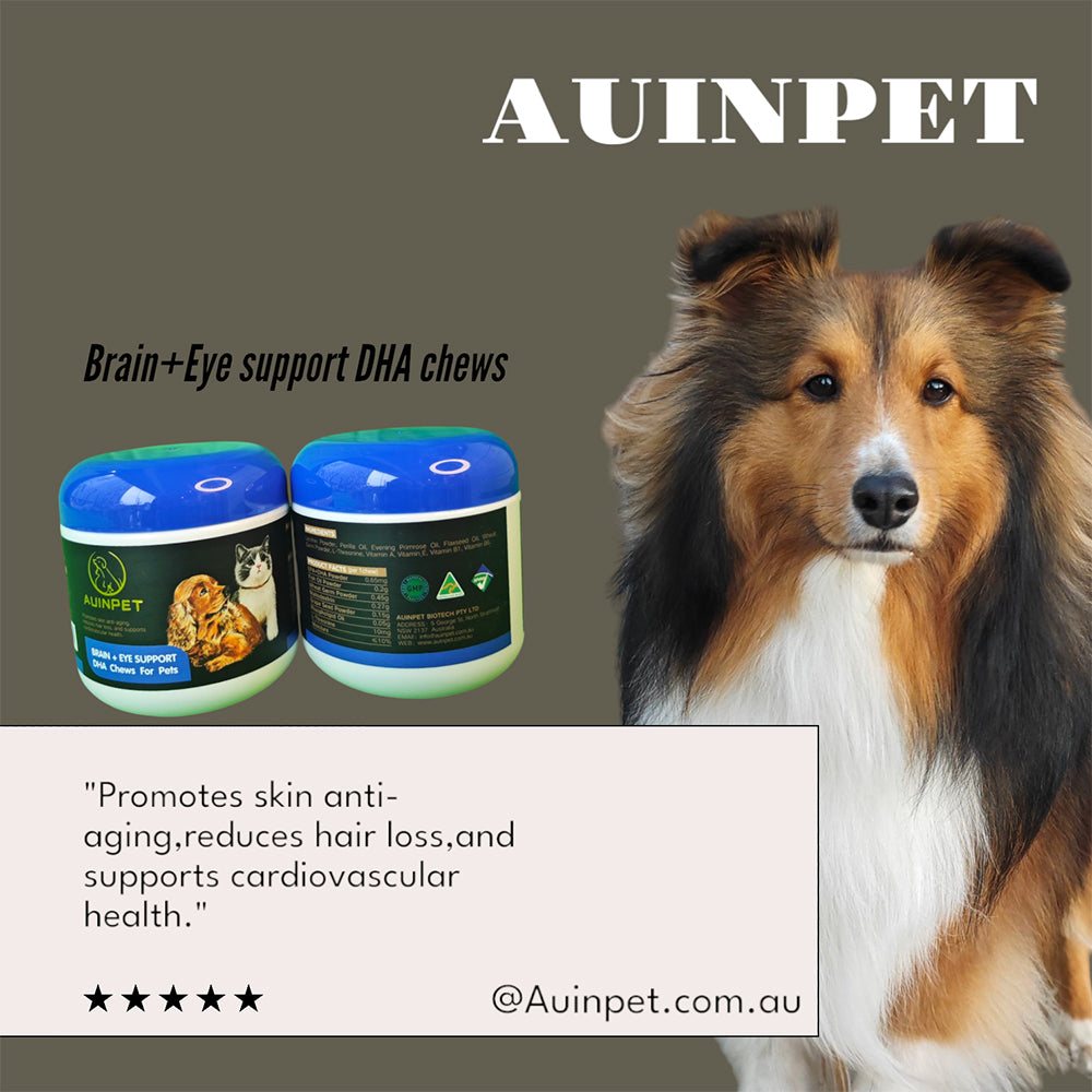 AUINPET Brain + Eye Support DHA Chews For Dogs & Cats 180g