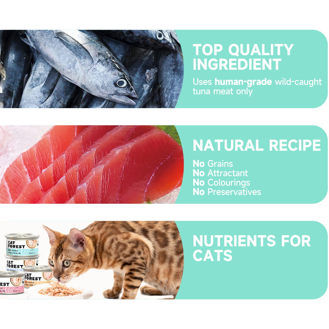 CAT FOREST Premium Tuna White Meat with Mussel in Gravy Canned Cat Food