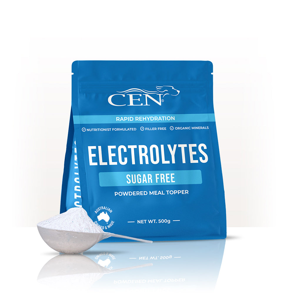 CEN Electrolytes Sugar Free Dog Supplement 500g