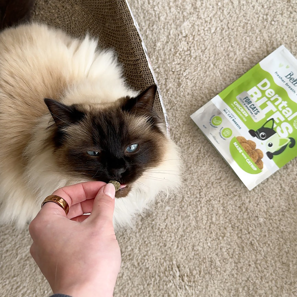 BELL & BONE Dental Bites Chicken With Blueberries Cat Treats 80g