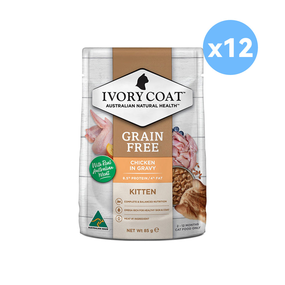 IVORY COAT Grain Free Chicken Gravy Kitten Wet Cat Food 85g x 12 l