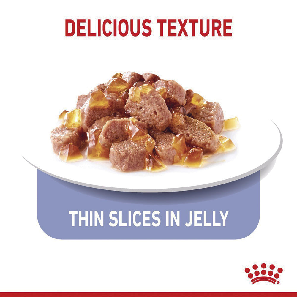 ROYAL CANIN Appetite Control Jelly Adult Wet Cat Food 85g x 12
