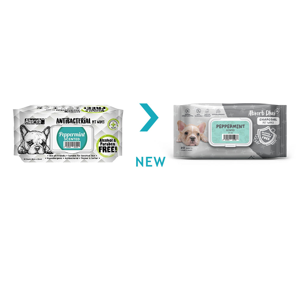 ABSORB PLUS Peppermint Antibacterial Pet Wipes 80 sheets 20x15cm