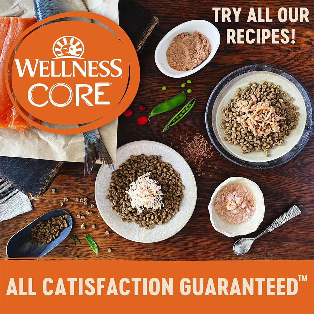 WELLNESS Core Tender Cuts With Chicken & Salmon in Savoury Gravy Wet Cat Food 85g x 8