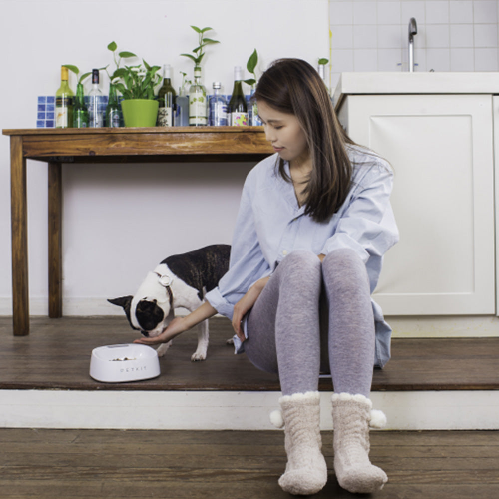 PETKIT Fresh Smart Bowl