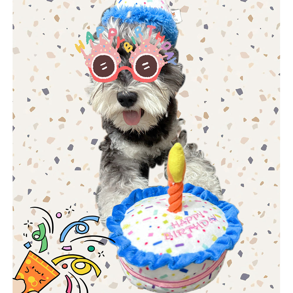 FOFOS Birthday Cake Plush Squeaky Dog Toy