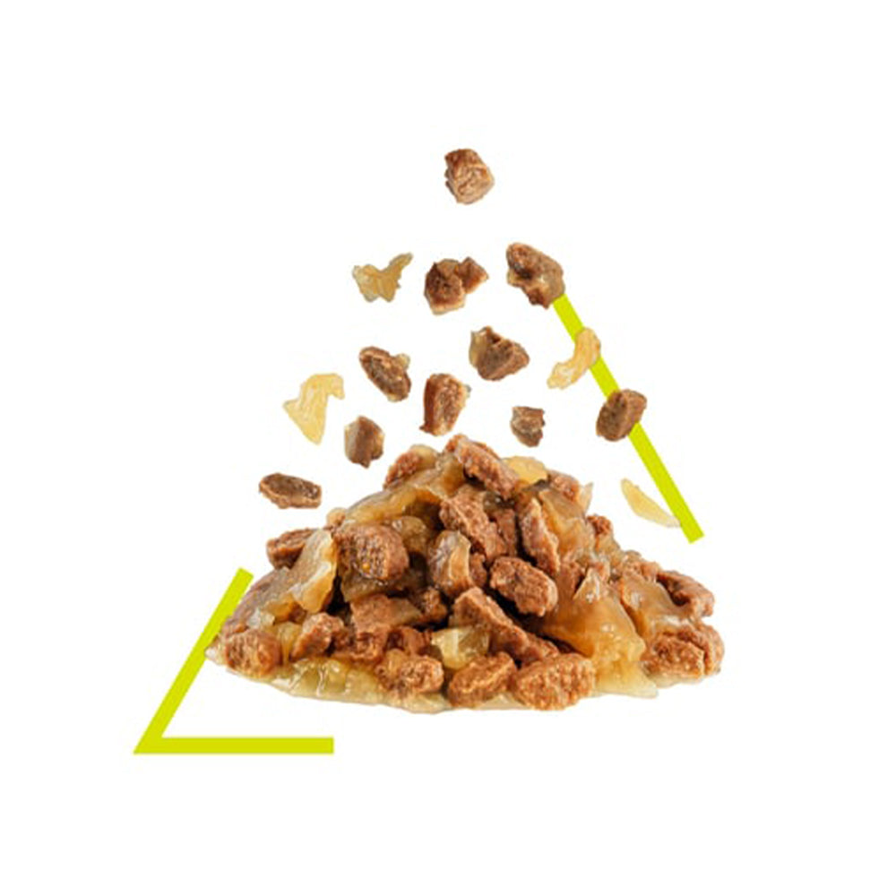 ROYAL CANIN Sensory Smell Jelly Adult Wet Cat Food 85g x 12